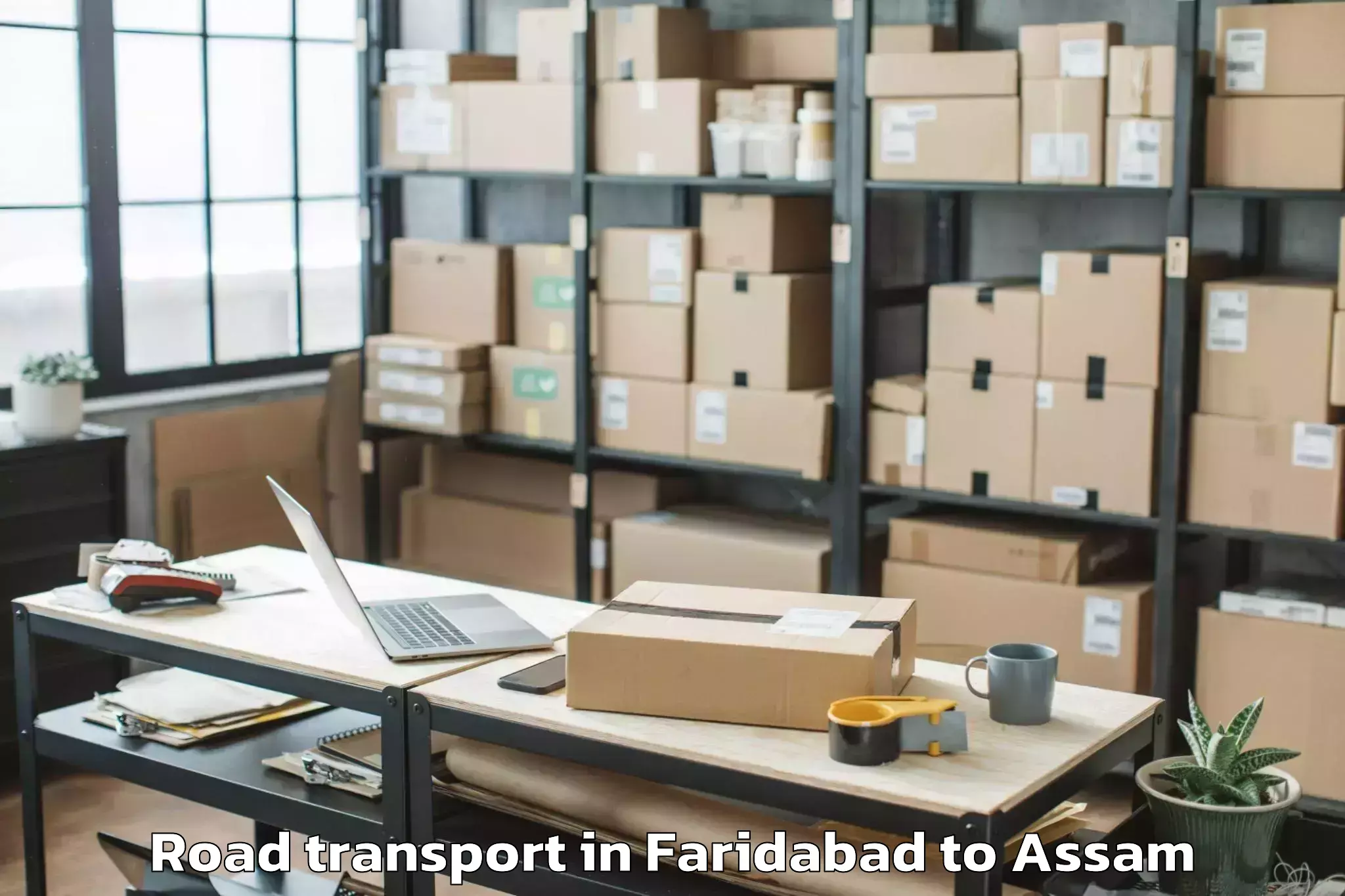 Top Faridabad to Katlicherra Road Transport Available